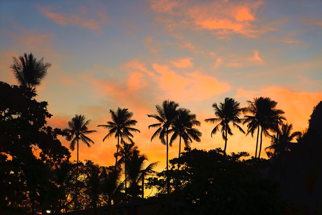 sunset palm springs