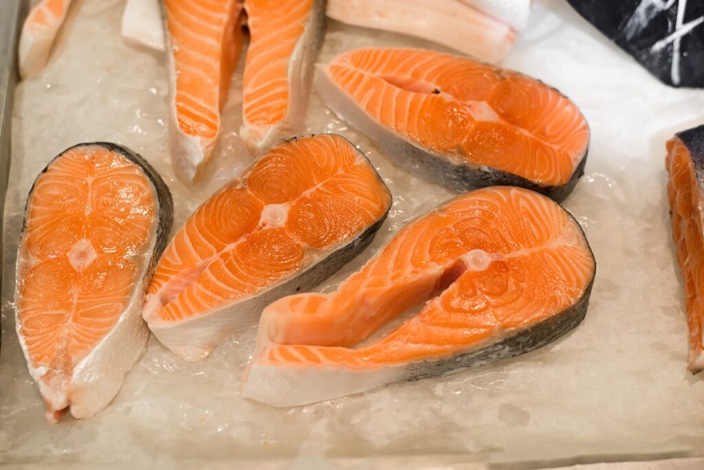 farmed salmon